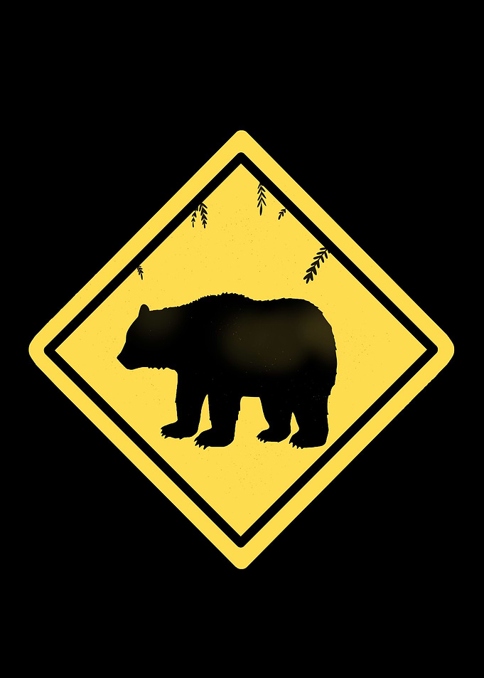 Bear Road Sign