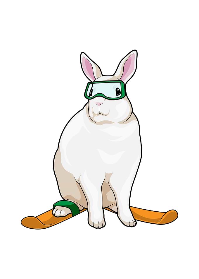 Bunny Skier Ski