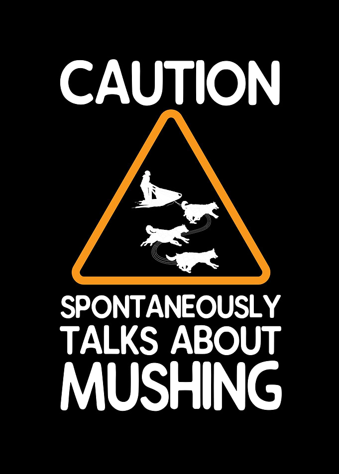 Funny Mushing Sleds Dog