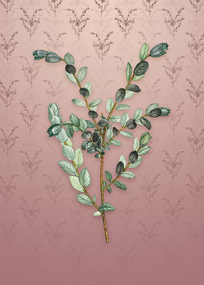Vintage Creeping Willow