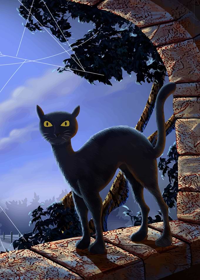 black Cat