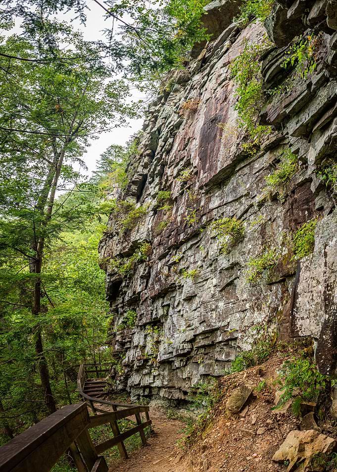 Cloudland Canyon