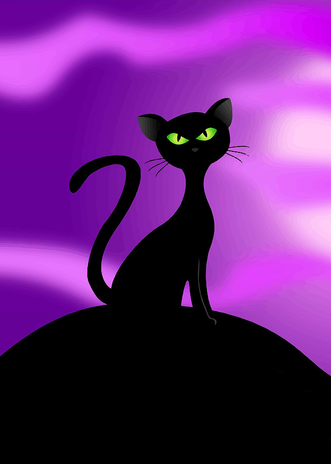 black Cat