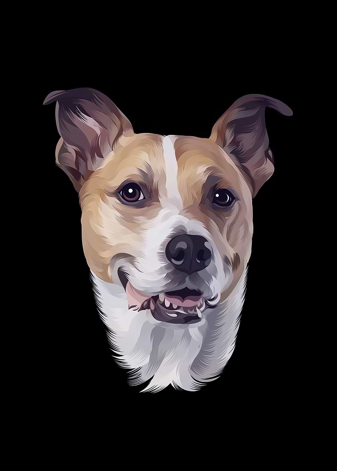 Dog 1