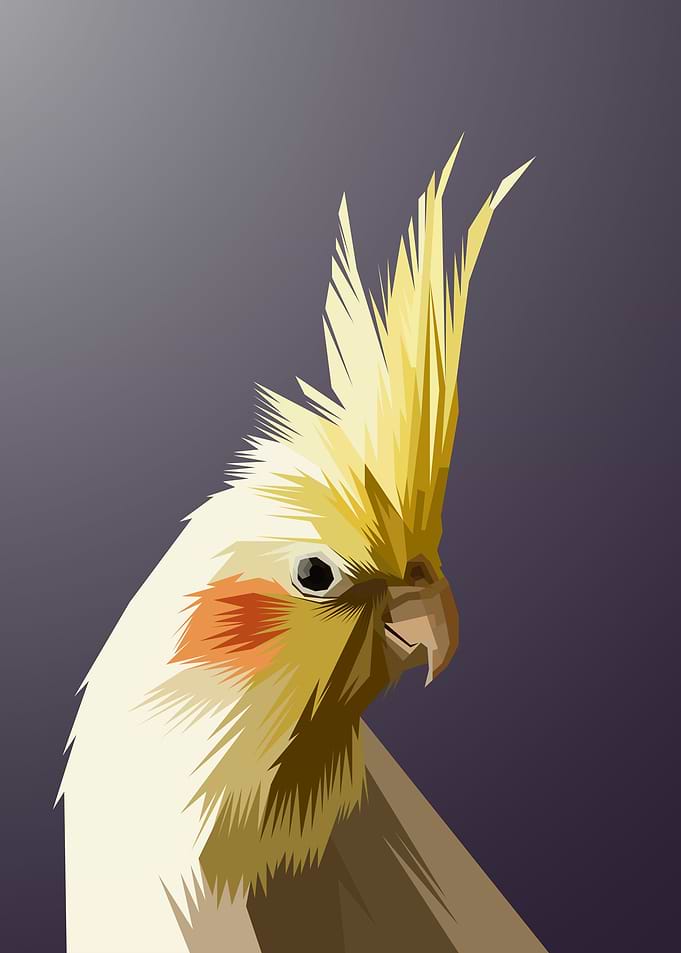 Parrot Wpap