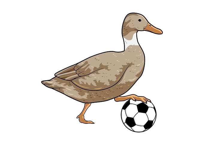 Duck Soccer Sports