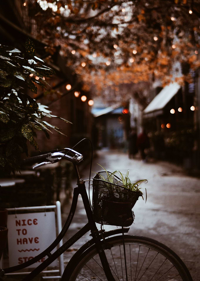 Autumn Vibes