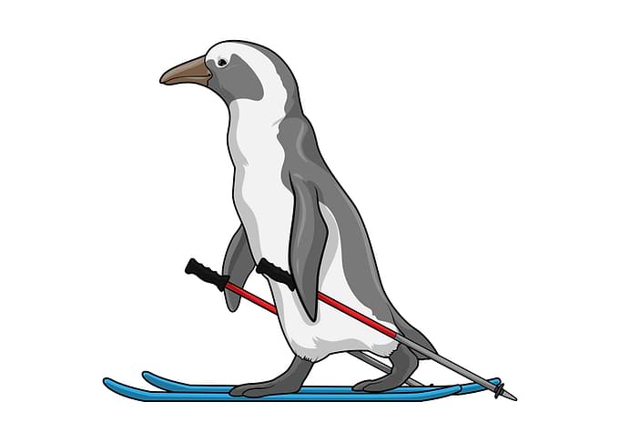 Penguin Skier Ski