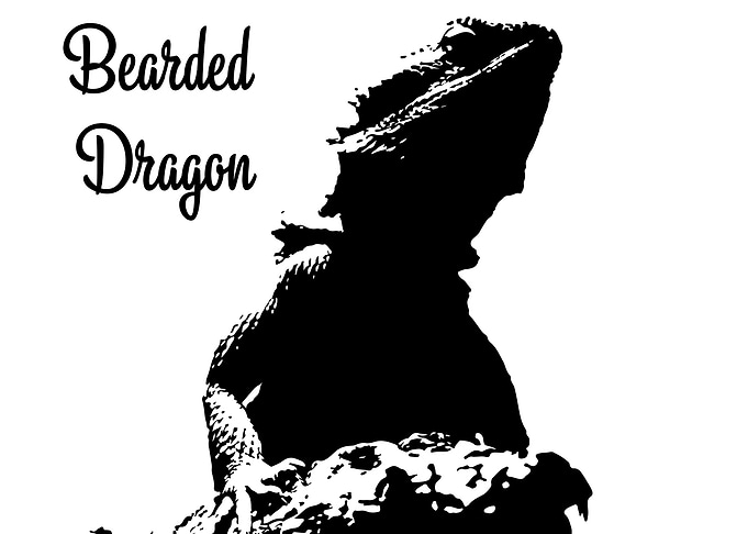 Bearded Dragon