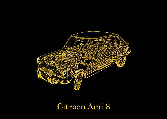 Citroen Ami 8