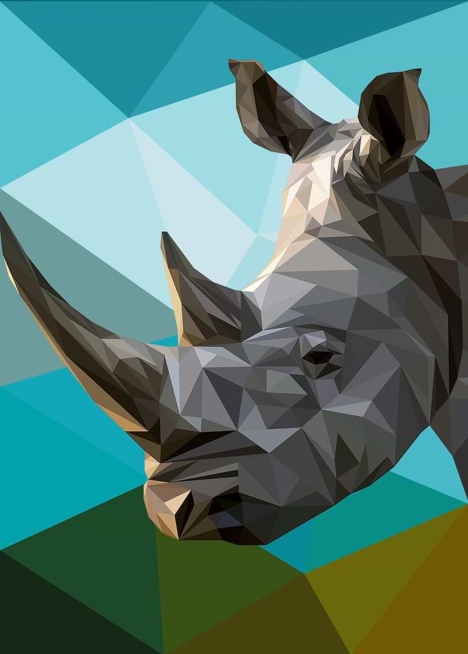 Rhino
