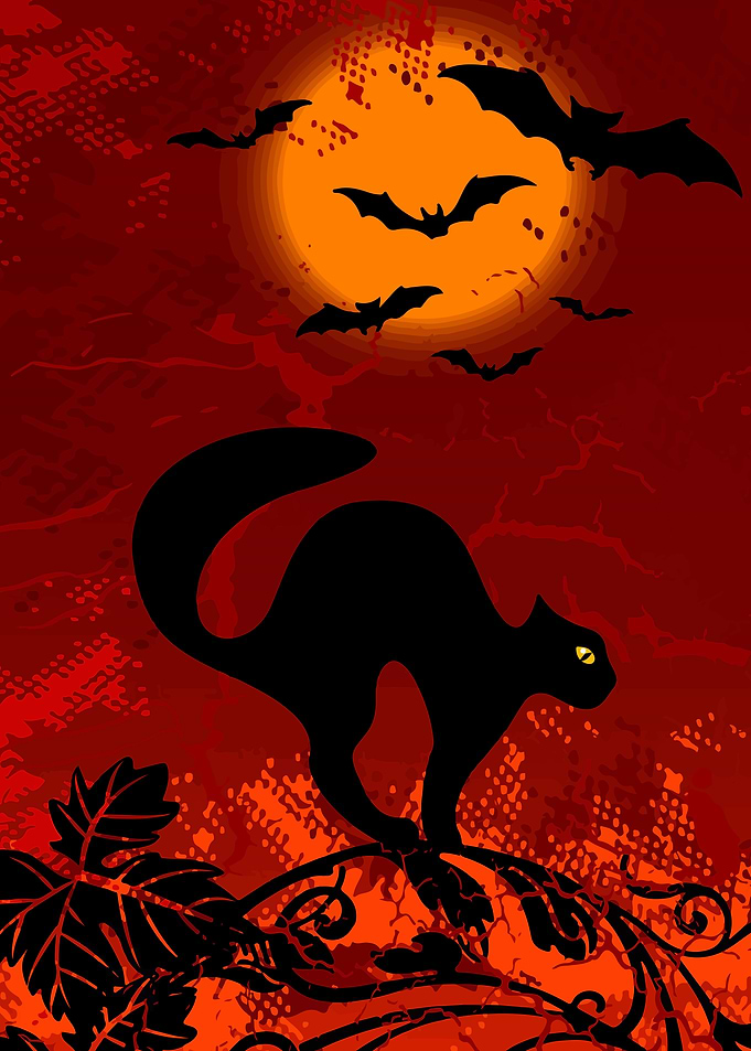 Cat Bat Dark Halloween
