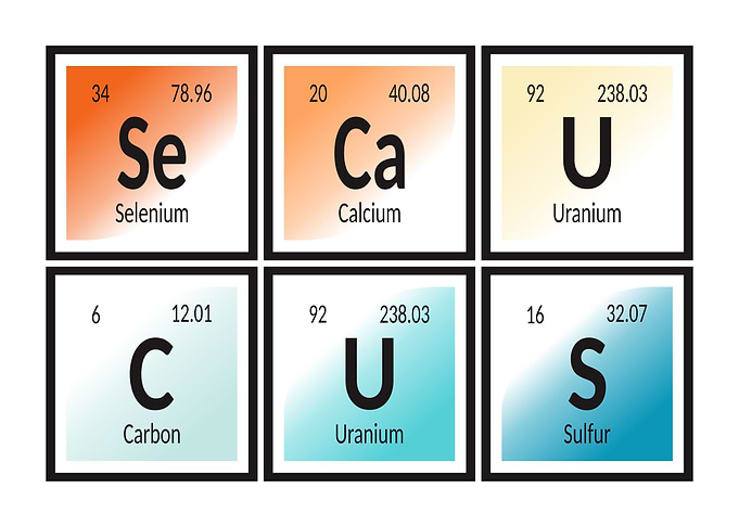 Elements of Secaucus