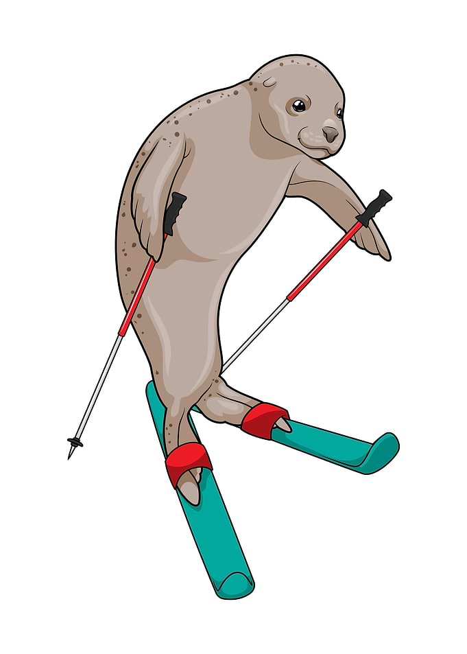 Seal Skier Ski