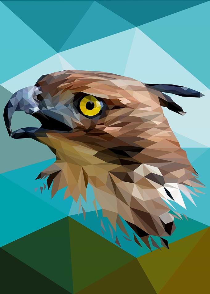 Hawk