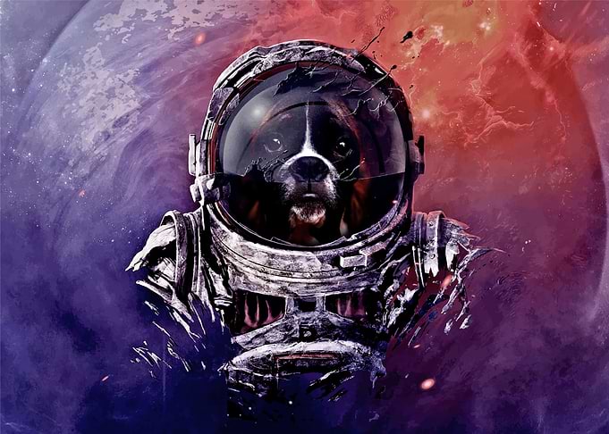 Astronaut