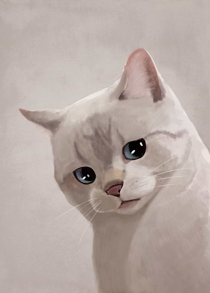 Expressive Cat Meme 2