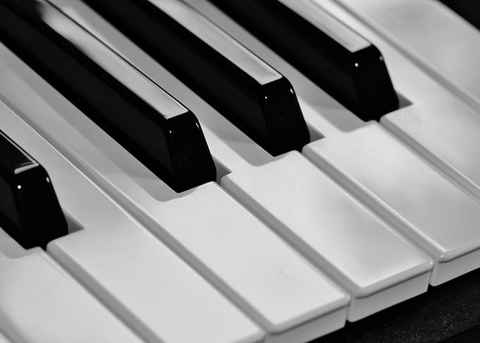 Set of Ivory Keys