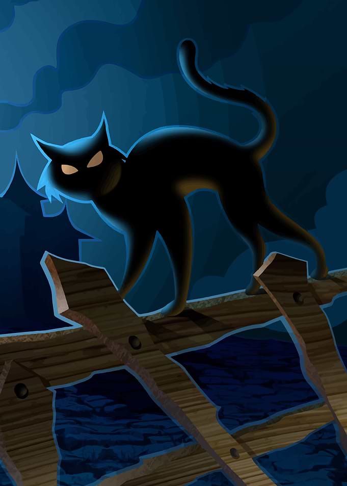 black Cat