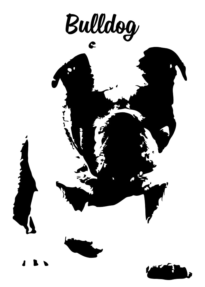 Bulldog