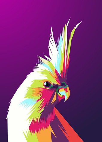 Parrot Wpap