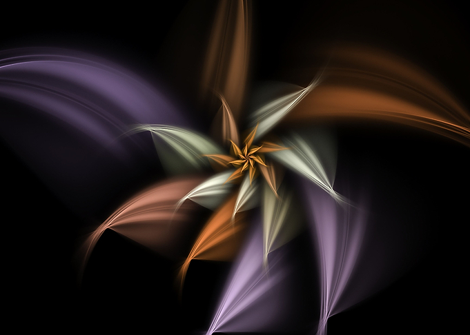 Abstract Flower Petals
