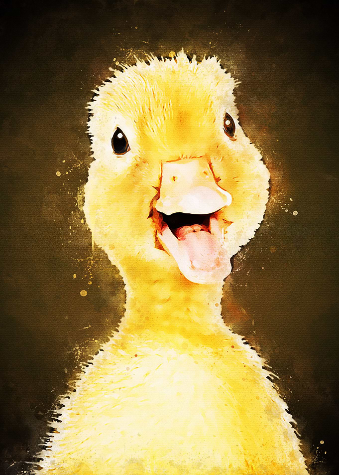 Duck Funny