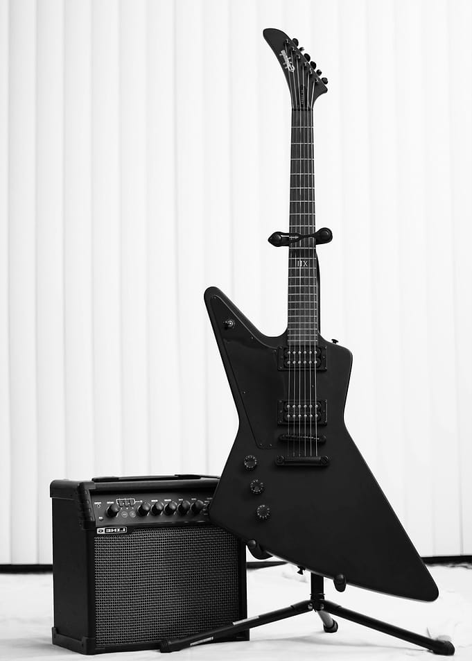 Guitar