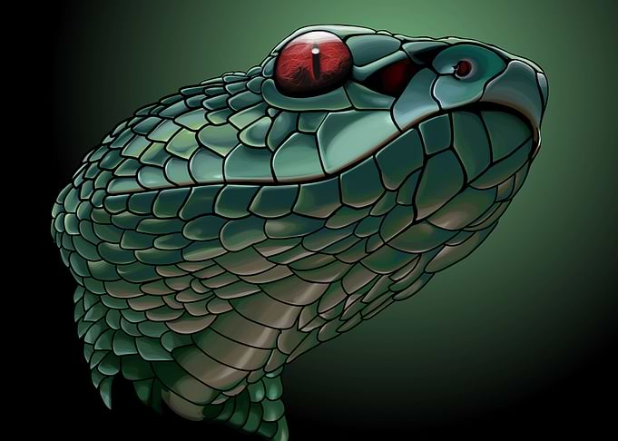 snake