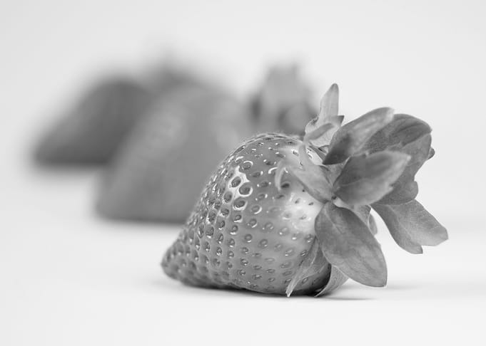 strawberries gray