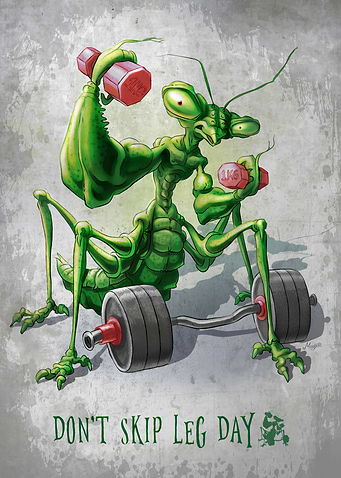 DONT SKIP LEG DAY