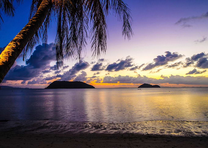 Palm Sea Beach