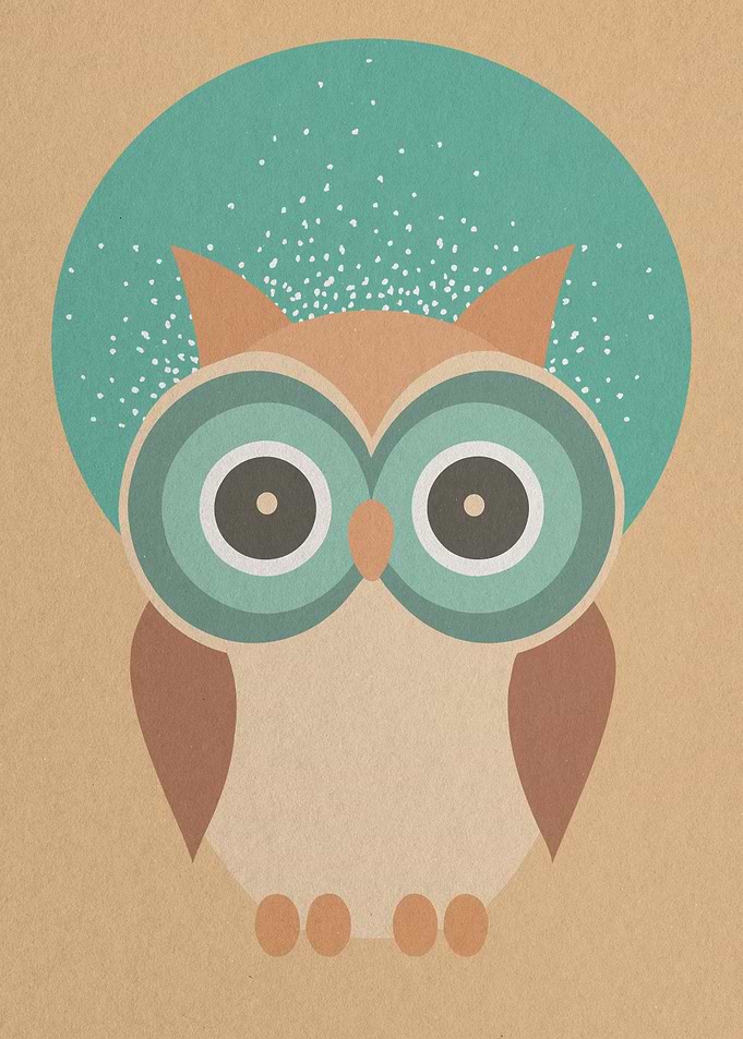 Cute Owl