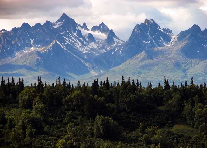 Forest by Rocks Landscape