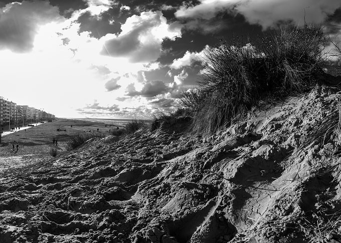 dune with sawgrass