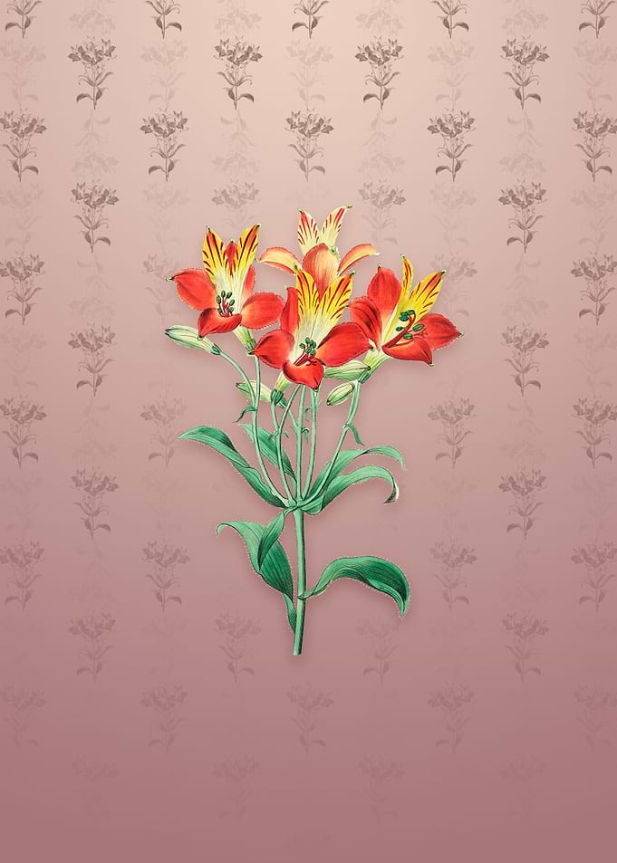 Red Speckled Alstromeria