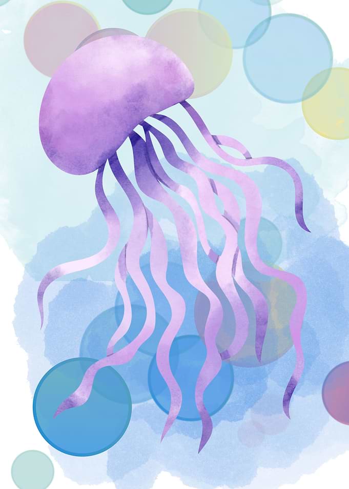 The Jellyfish