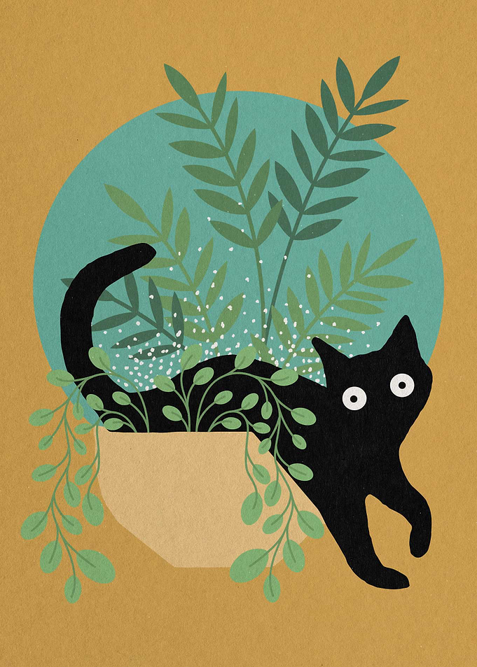 Cat in plant