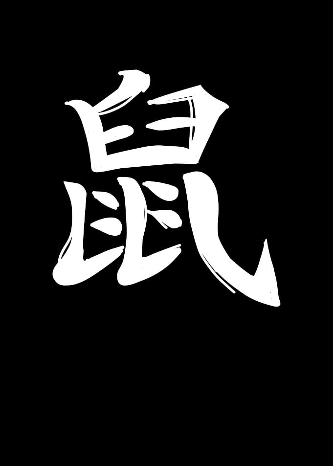 Rat Chinese Zodiac
