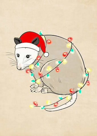 Oposum christmas
