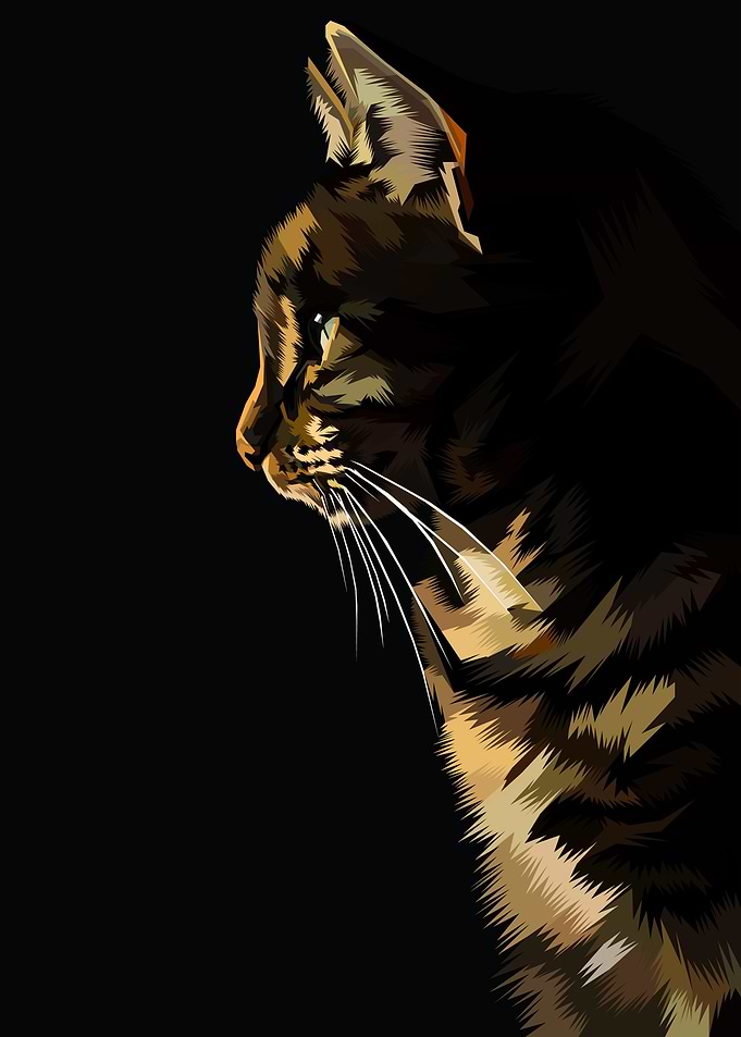 Cat cute Wpap
