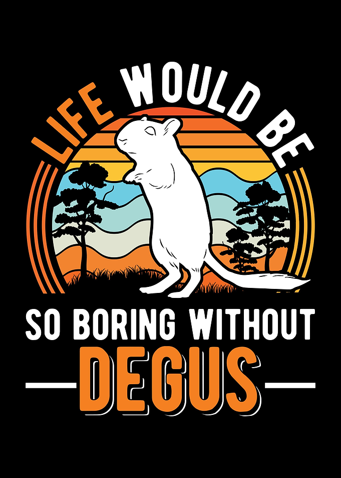 Degu Owner gift