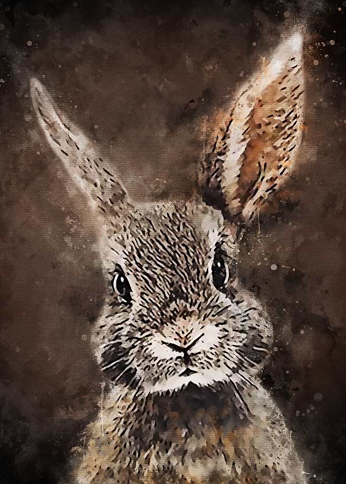 Cute Rabbit