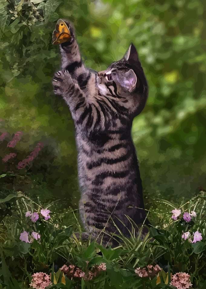 Cat illustration
