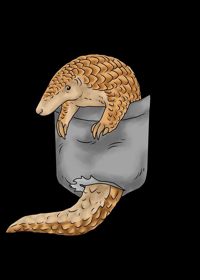 Pangolin Gift Men Pangolin