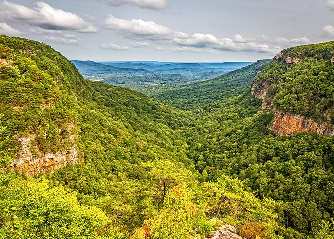 Cloudland Canyon