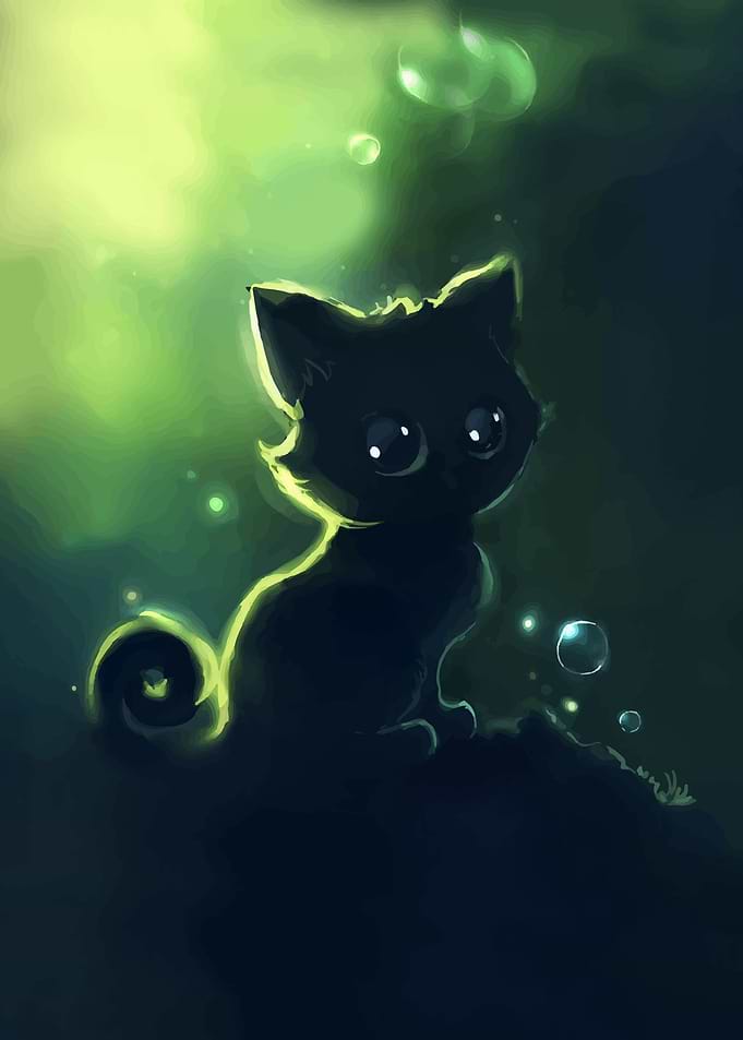 Cat illustration