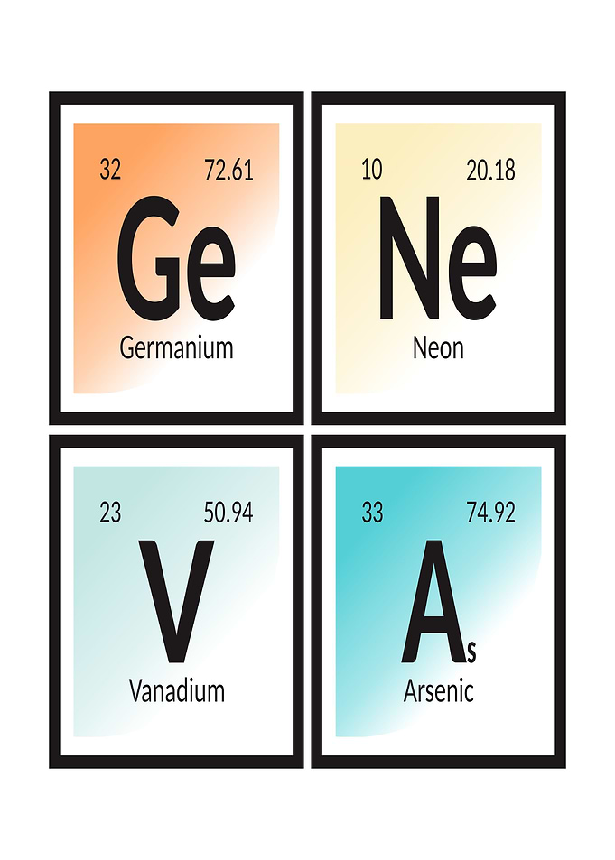 Elements of Geneva City