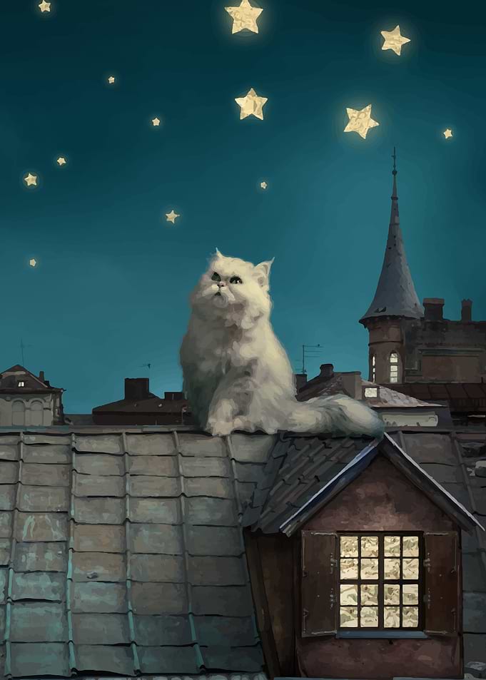 Cat illustration