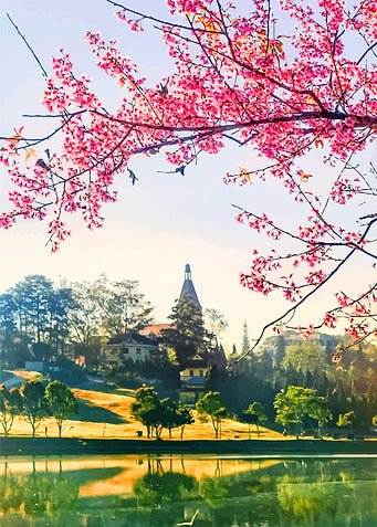 Vietnamese Nature